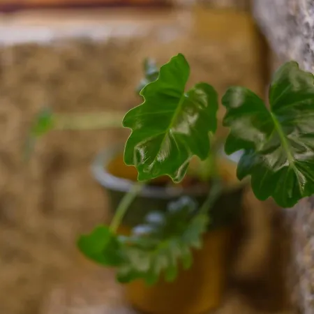 Ferienhaus Geres Country - Sequeiro