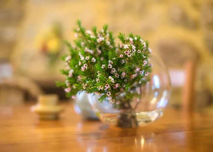 Geres Country - Sequeiro Rio Caldo