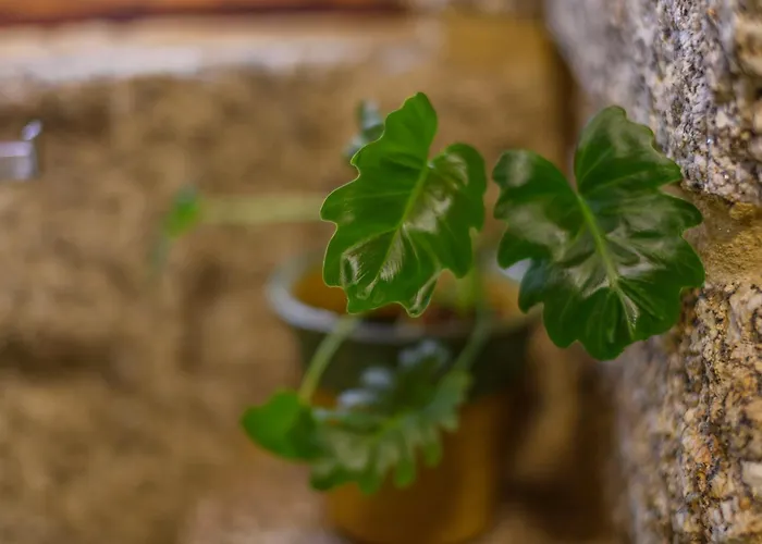 펜션 Geres Country - Sequeiro